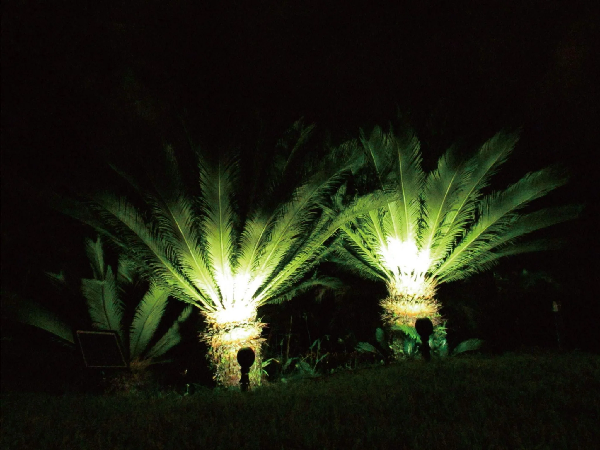 Doppio Faretto Led ad Energia Solare - Image 5